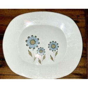 Vtg SPRING Kitchen Decor IRONSTONE Platter Robins Egg Blue MCM